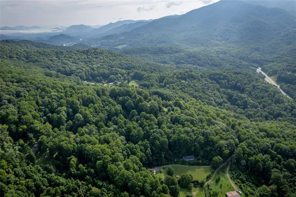 a view of a lush green forest with a house