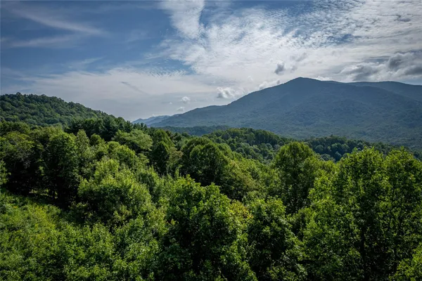 an aerial view of houses covered in trees