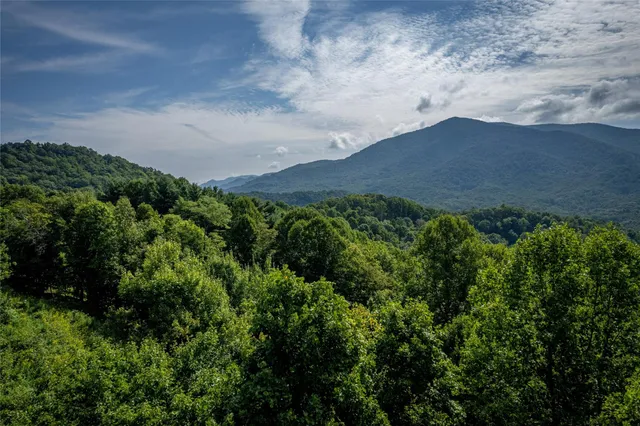 an aerial view of houses covered in trees