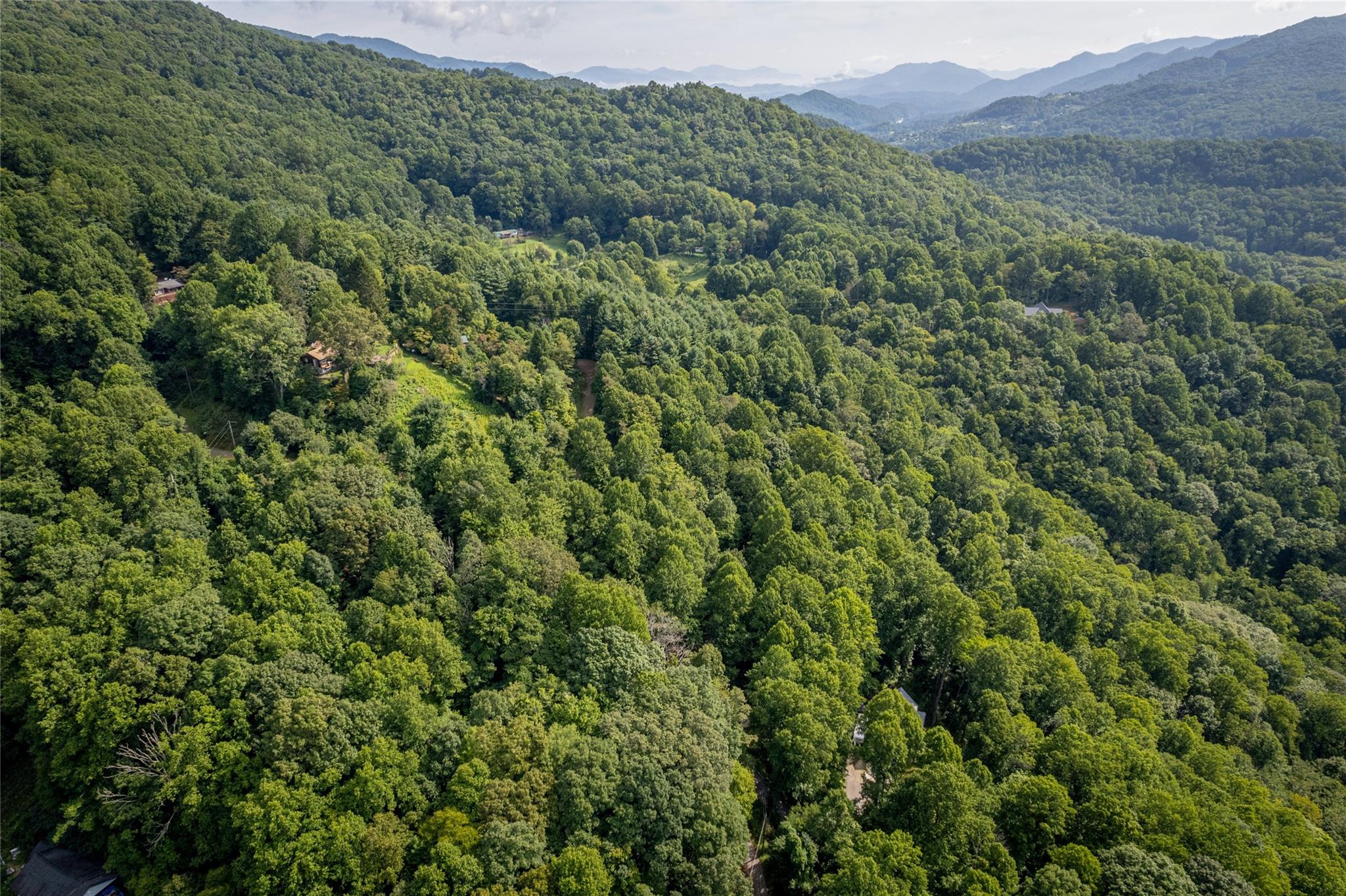 8 Resurrection Lane, Unit 8 Sylva, NC 28779 - Photo 19 of 20 a view of a lush green forest with a lush green forest