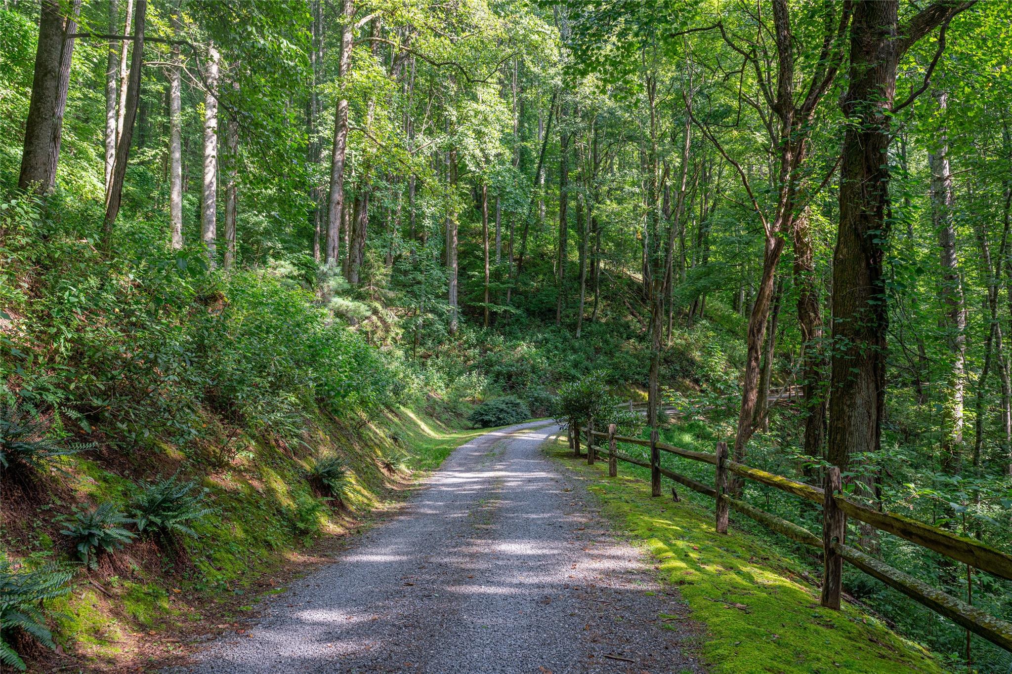 8 Resurrection Lane, Unit 8 Sylva, NC 28779 - Photo 2 of 20 a view of a park with large trees