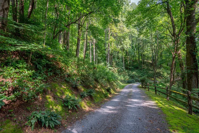 a big yard with lots of green space and trees