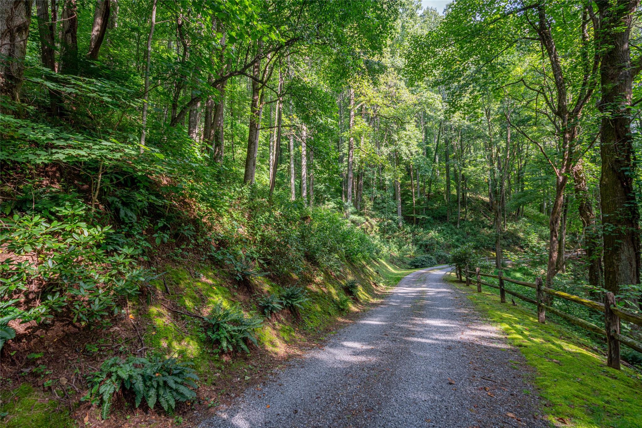 8 Resurrection Lane, Unit 8 Sylva, NC 28779 - Photo 6 of 20 a big yard with lots of green space and trees