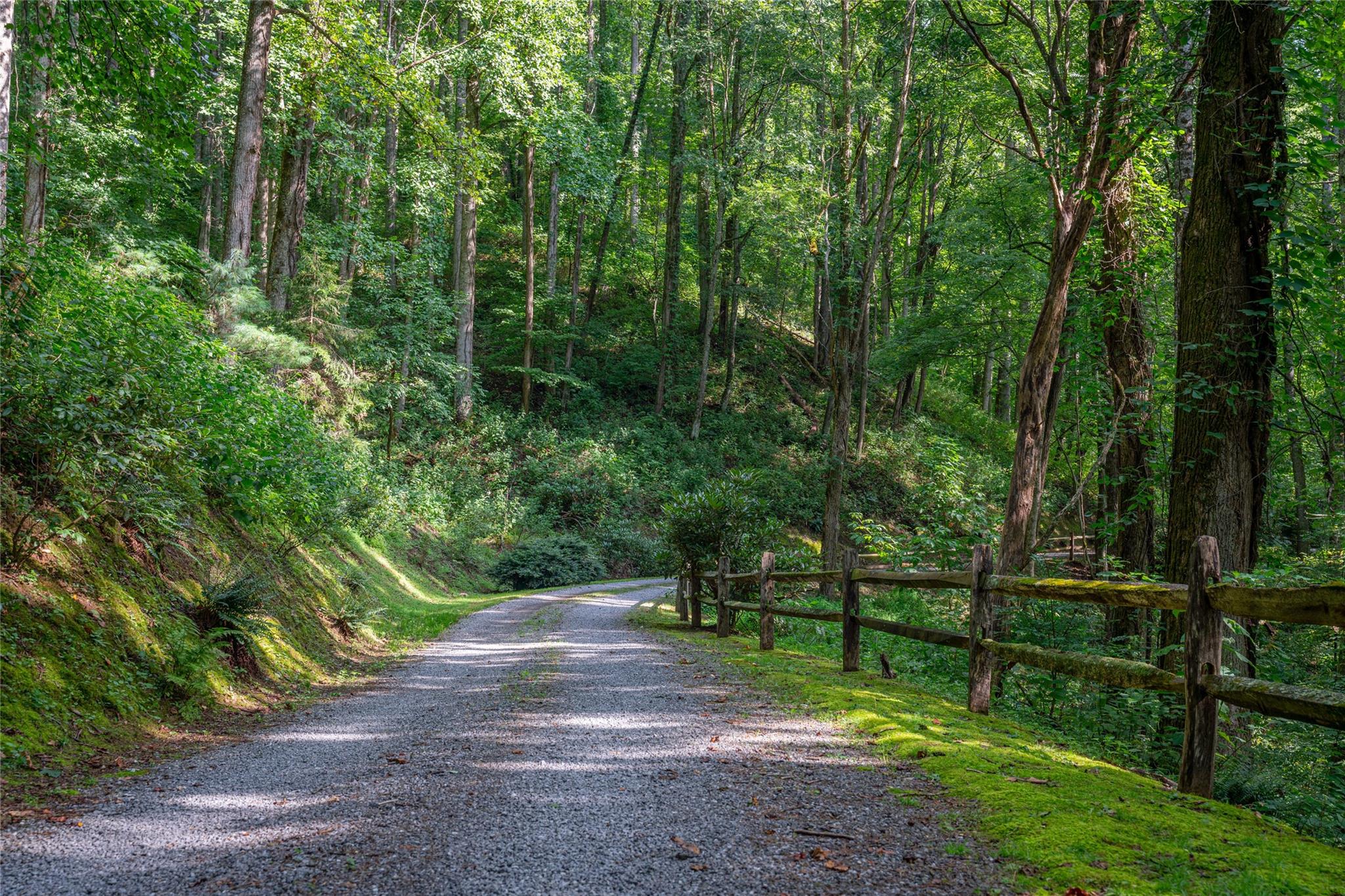 8 Resurrection Lane, Unit 8 Sylva, NC 28779 - Photo 10 of 20 a view of a park