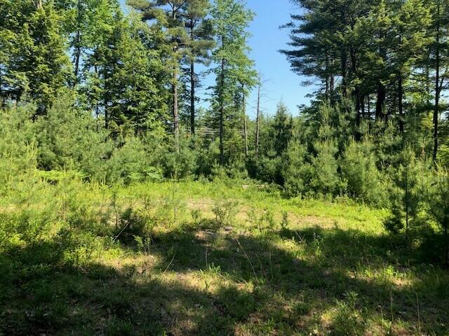0 Dutton Hill Road Windham, ME 04062 - Photo 1 of 8 Pic 1
