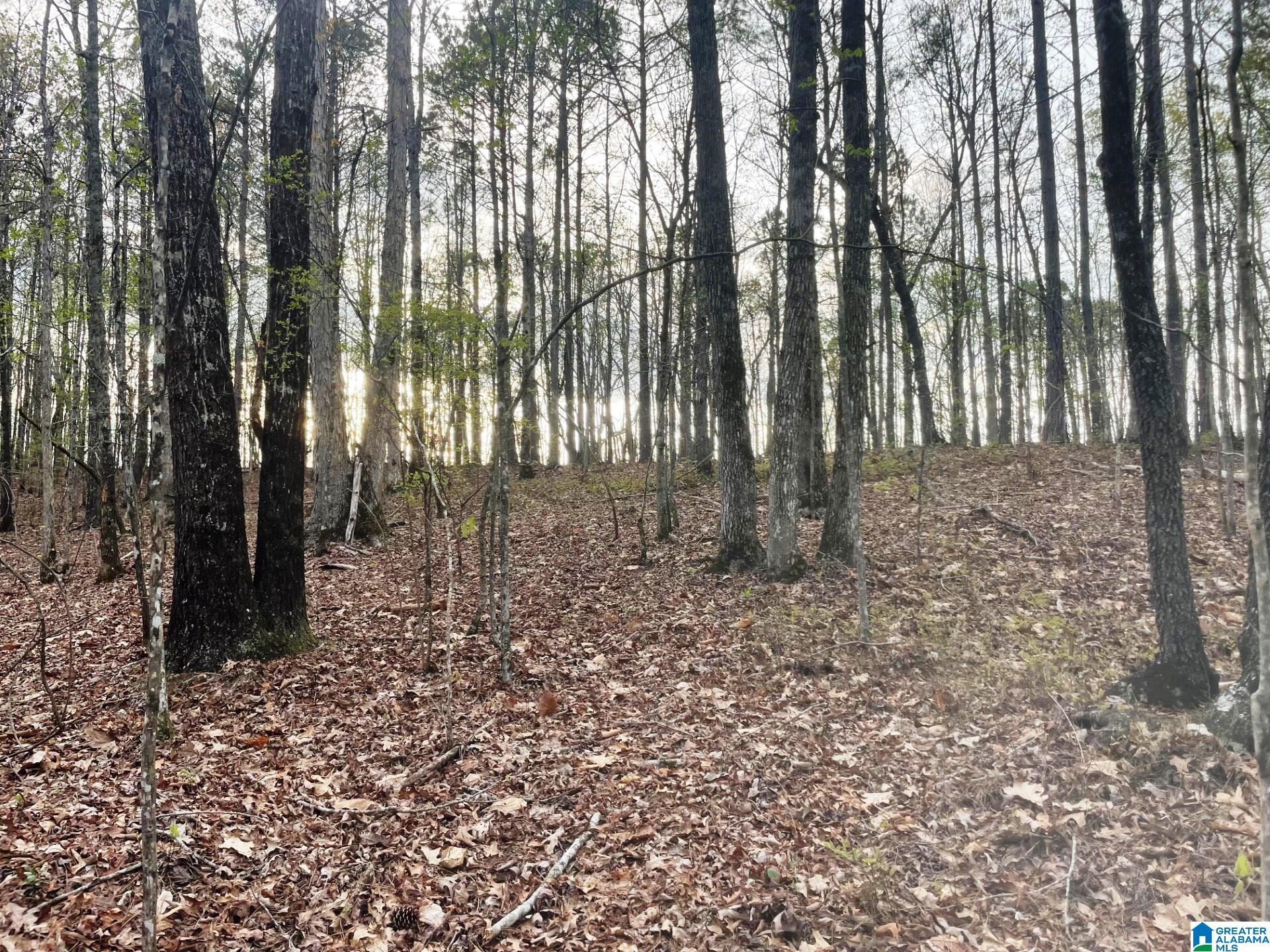 Oaks Chapel Road, Unit 76 Goodwater, AL 35072 - Photo 15 of 25