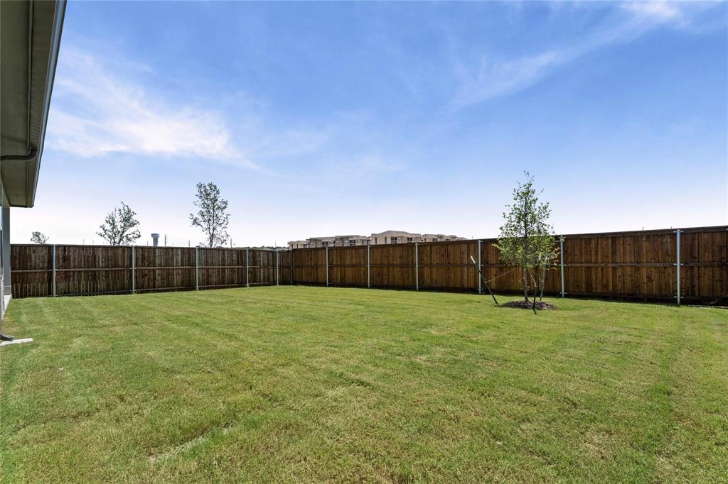 507 Avocet Road Princeton, TX 75407 - Photo 29 of 31 Expansive backyard featuring a lush lawn, privacy fencing, and a newly planted tree