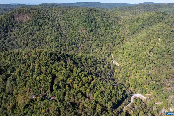 a view of a forest with a mountain