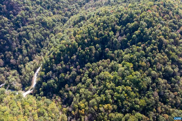 a view of a city with lush green forest