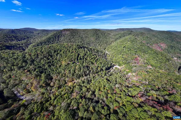 a view of a forest with a mountain