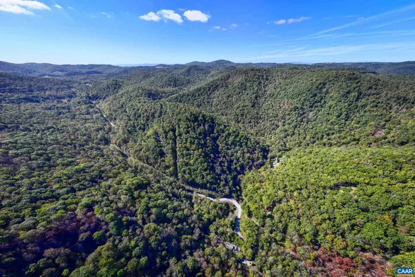 a view of a lush green forest with mountains in the background