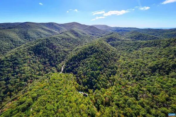 a view of forest