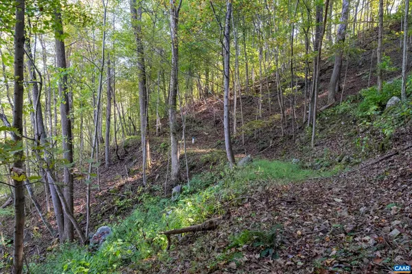 a view of outdoor space and green space