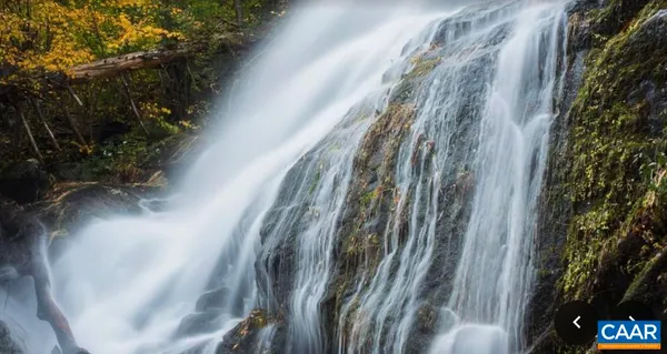 a view of a house with a tree