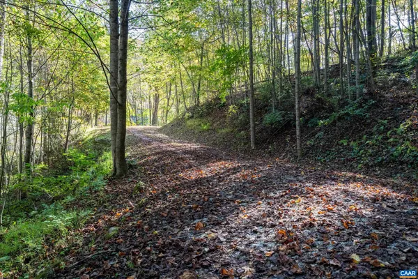 a view of outdoor space and garden