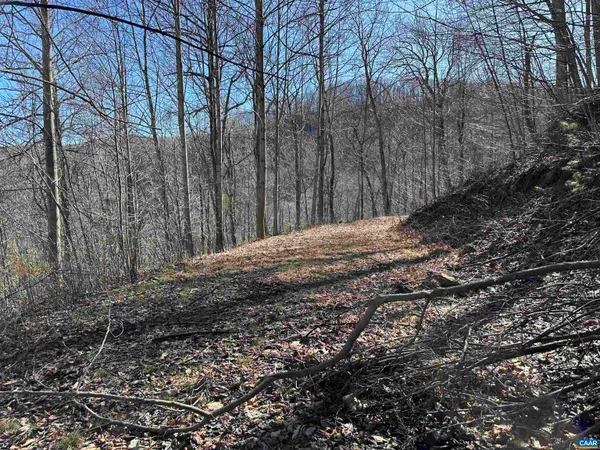 $178,000 | 13630 Crabtree Falls Highway, Montebello, VA 24464