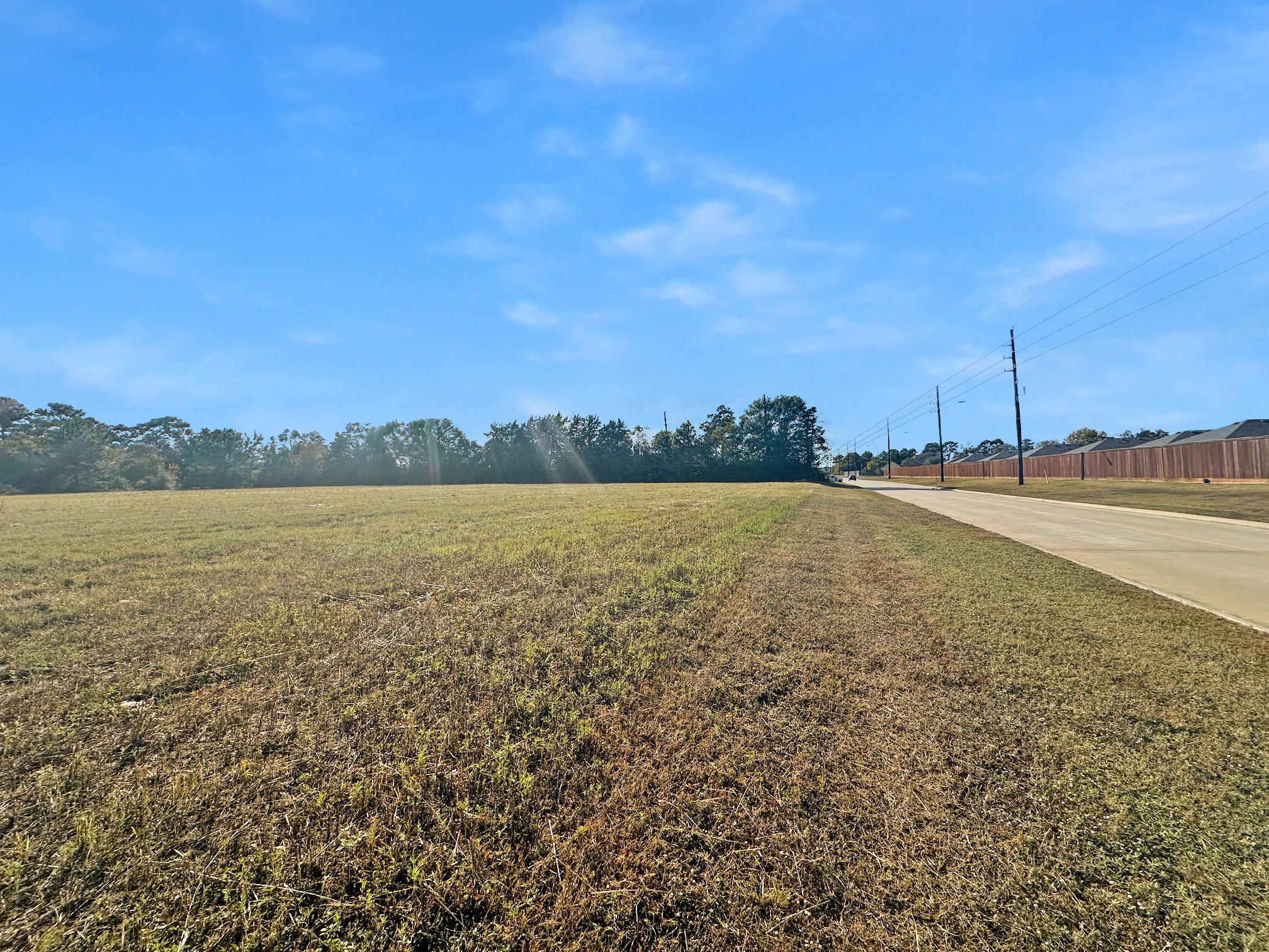 Tbd Blooming Rose Meadow Road Tomball, TX 77377 - Photo 11 of 13
