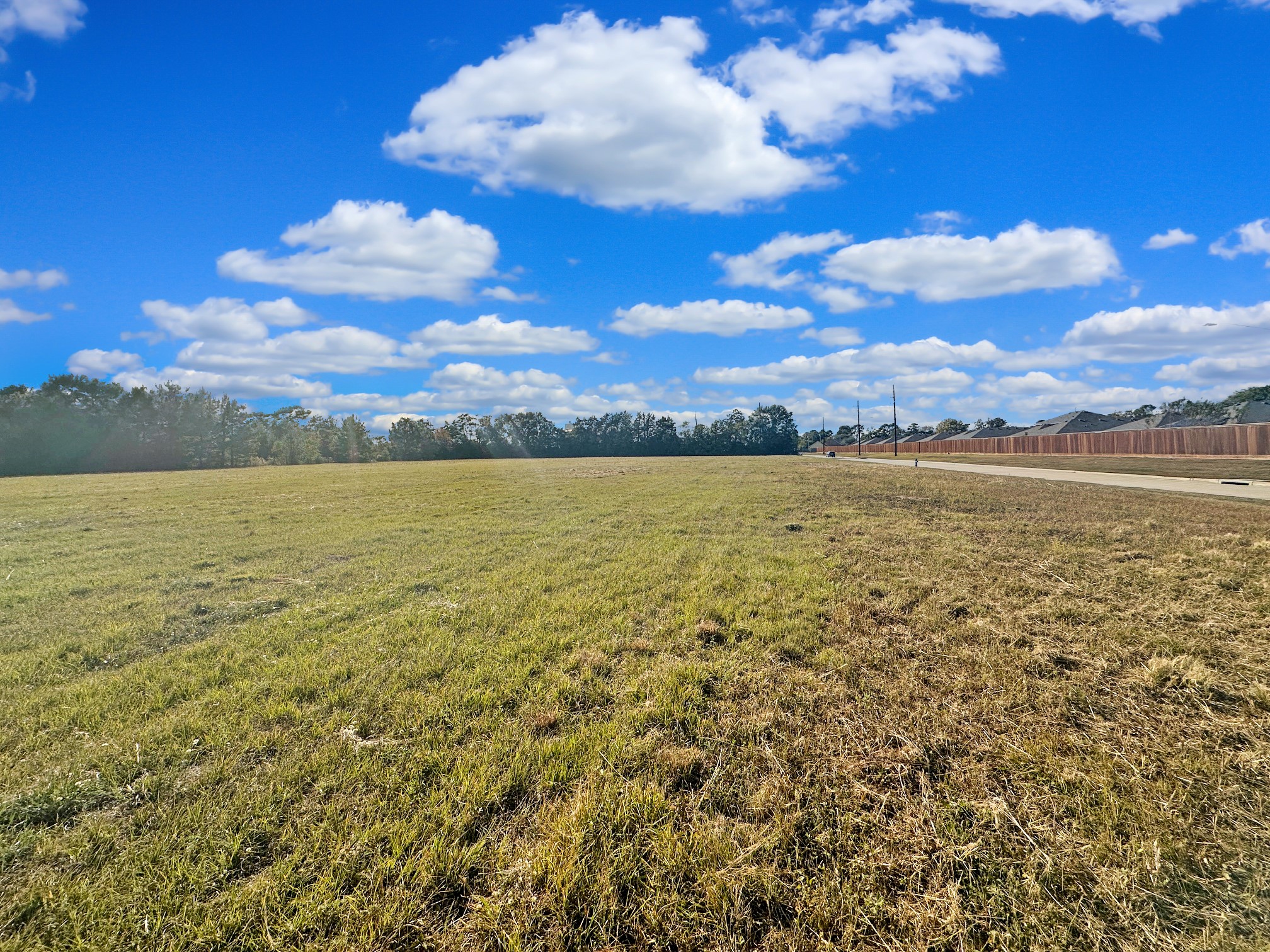 Tbd Blooming Rose Meadow Road Tomball, TX 77377 - Photo 13 of 13