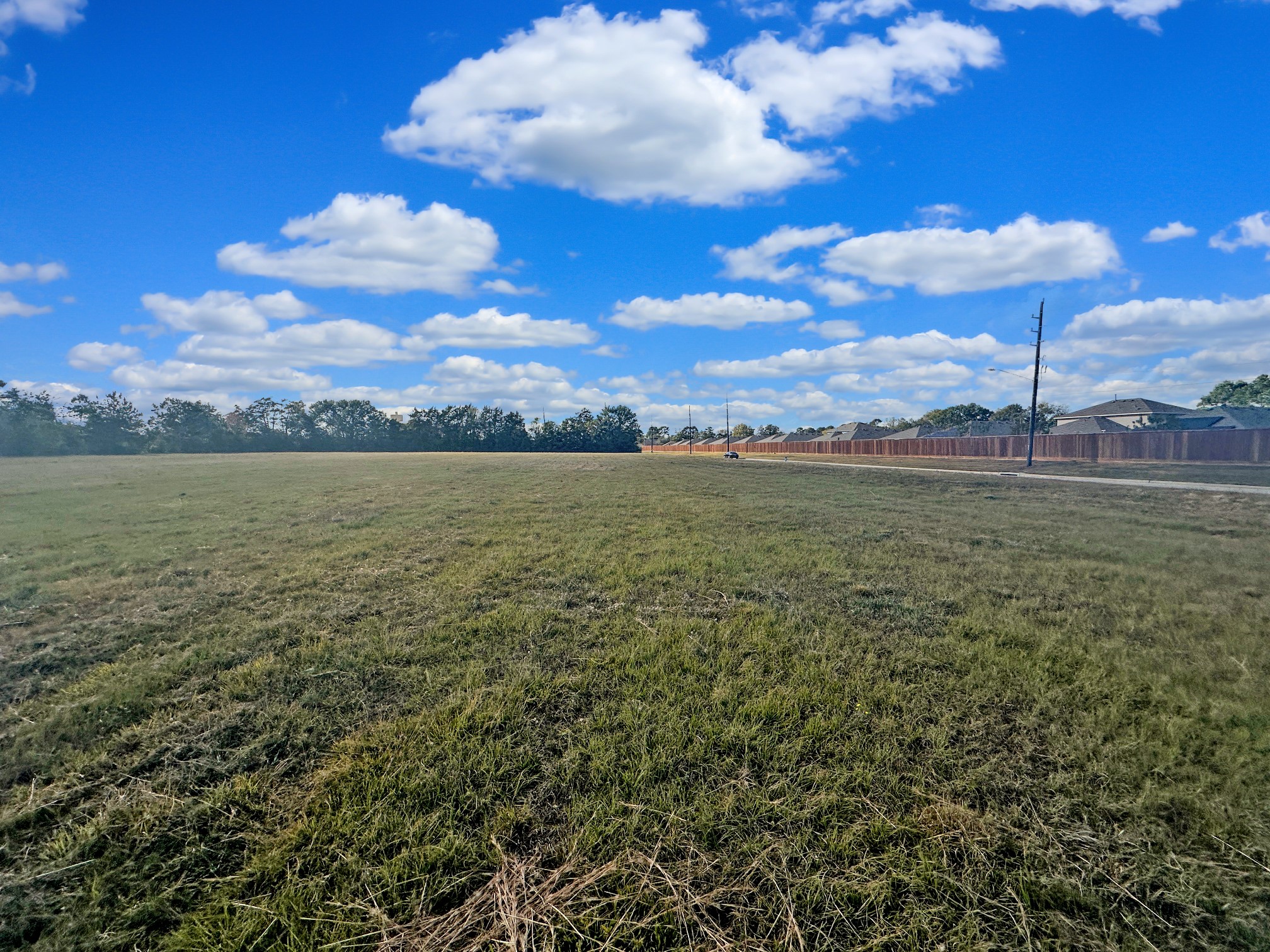 Tbd Blooming Rose Meadow Road Tomball, TX 77377 - Photo 9 of 13