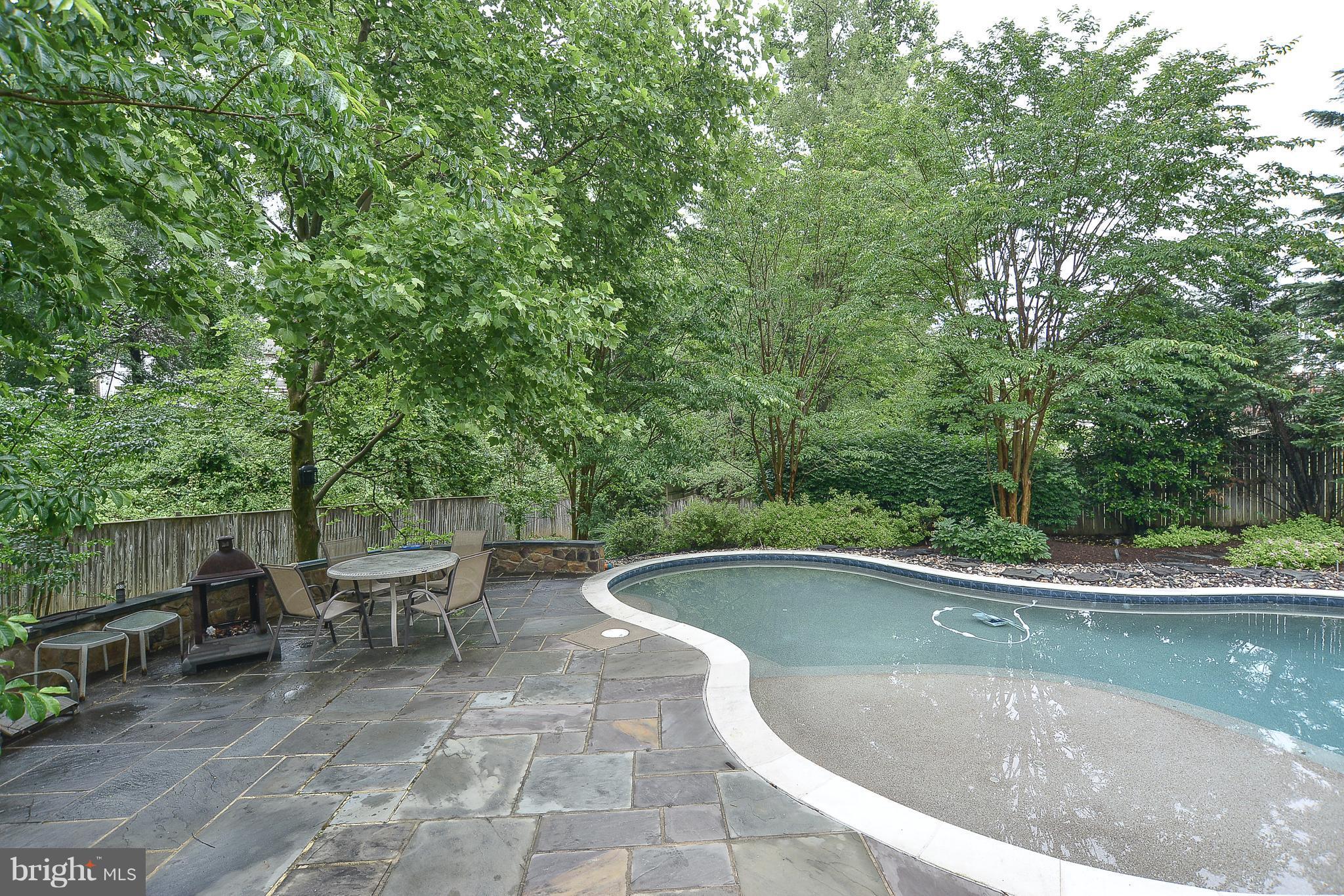 3910 Pender Spring Drive Fairfax, VA 22033 - Photo 23 of 29 Pool and View
