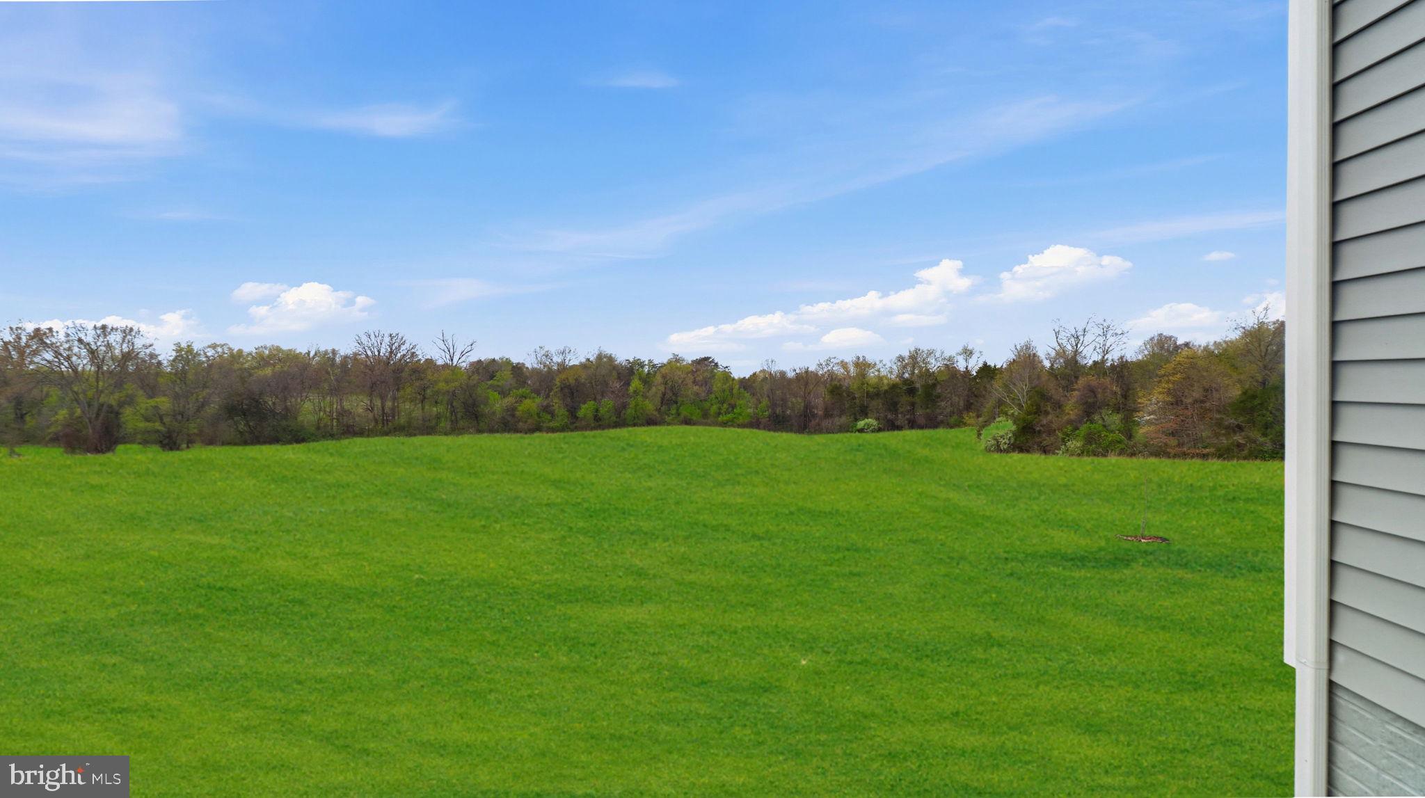11502 Aden Road Nokesville, VA 20181 - Photo 104 of 106 a view of a grassy field with trees in the background