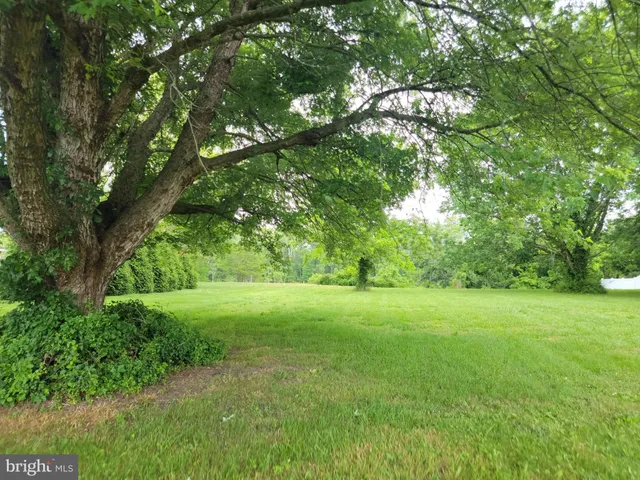 a view of outdoor space and yard