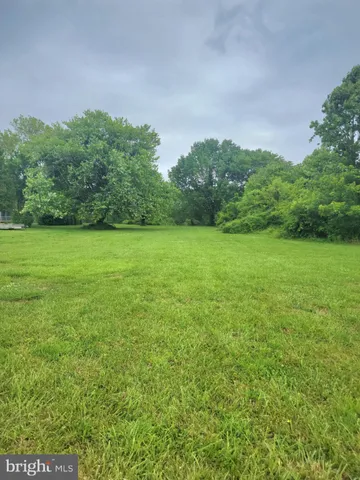 a view of field with trees in the background