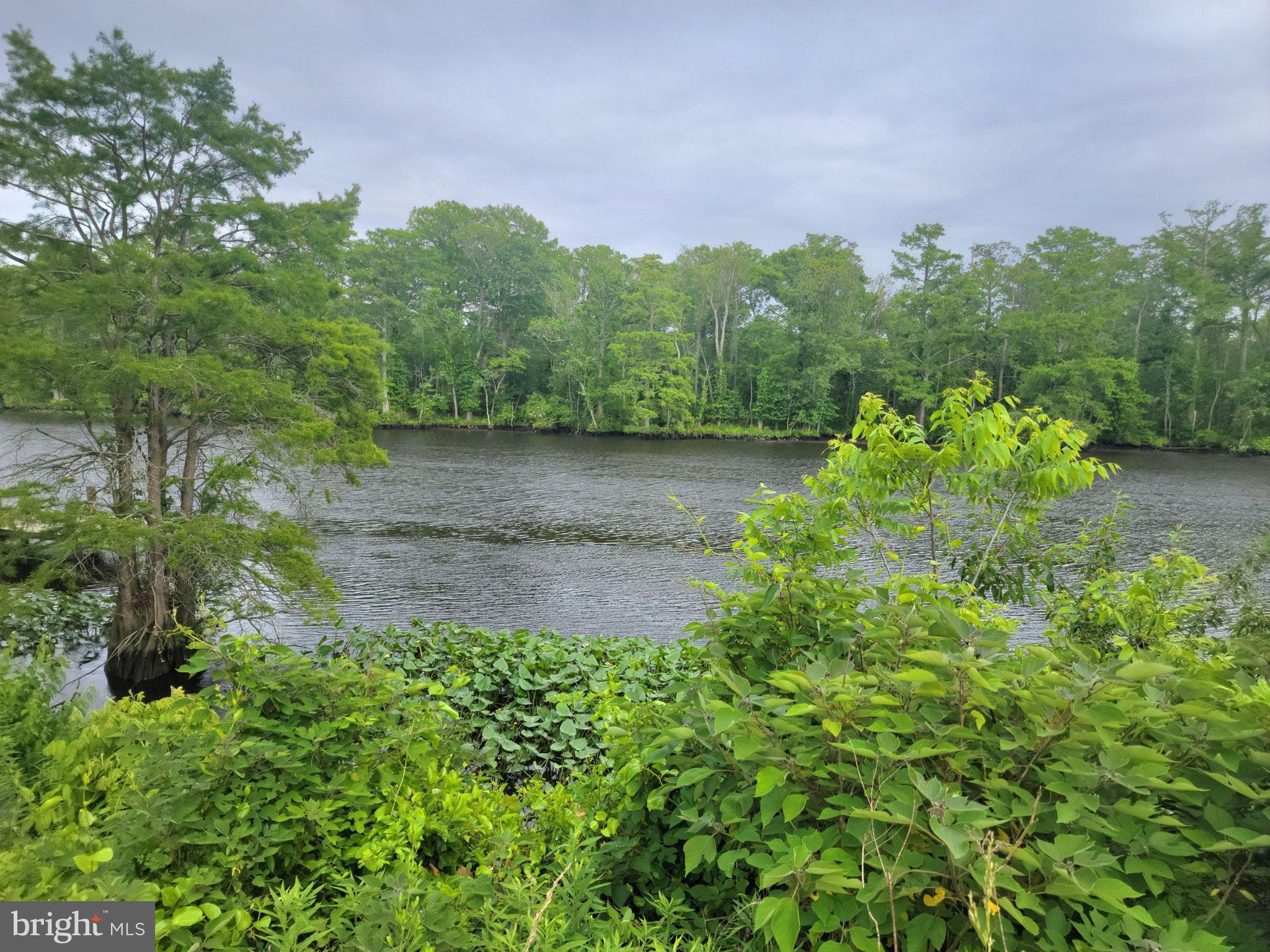 Somerset Road Pocomoke City, MD 21851 - Photo 4 of 5 an aerial view of a yard