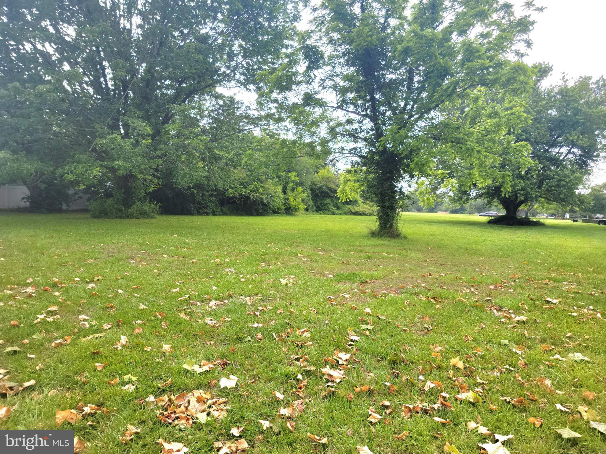 Somerset Road Pocomoke City, MD 21851 - Photo 5 of 5 a view of yard with green space and trees around