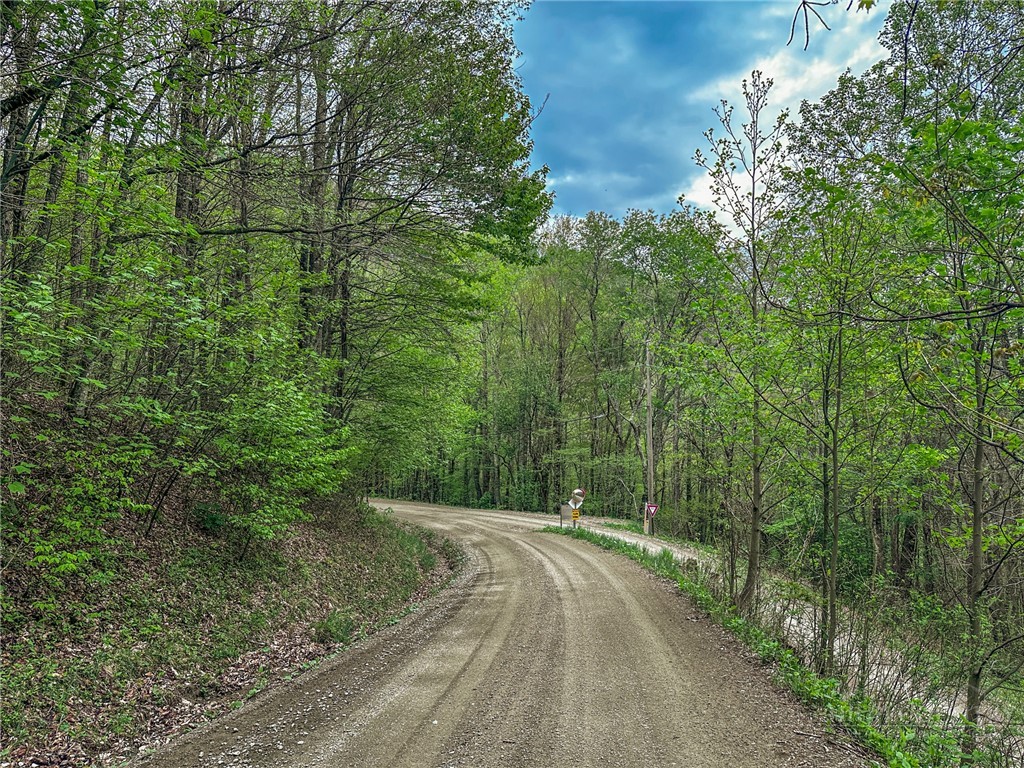 Silverleaf Road Zionville, NC 28698 - Photo 15 of 25