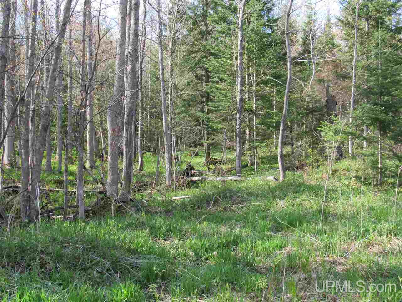 22431 Peterson Road Nisula, MI 49952 - Photo 20 of 24 Gallery Image 20