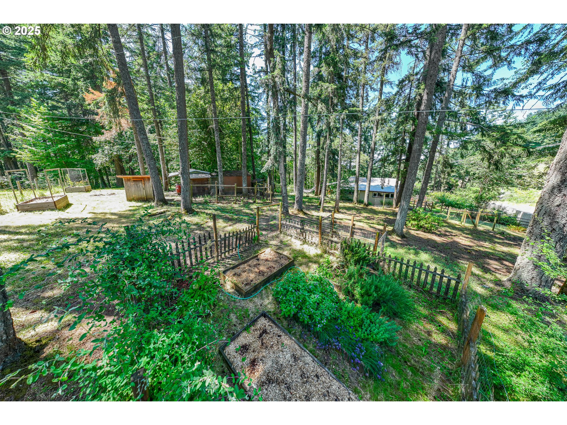 32468 Dillard Road Eugene, OR 97405 - Photo 22 of 28 a view of a park with large trees