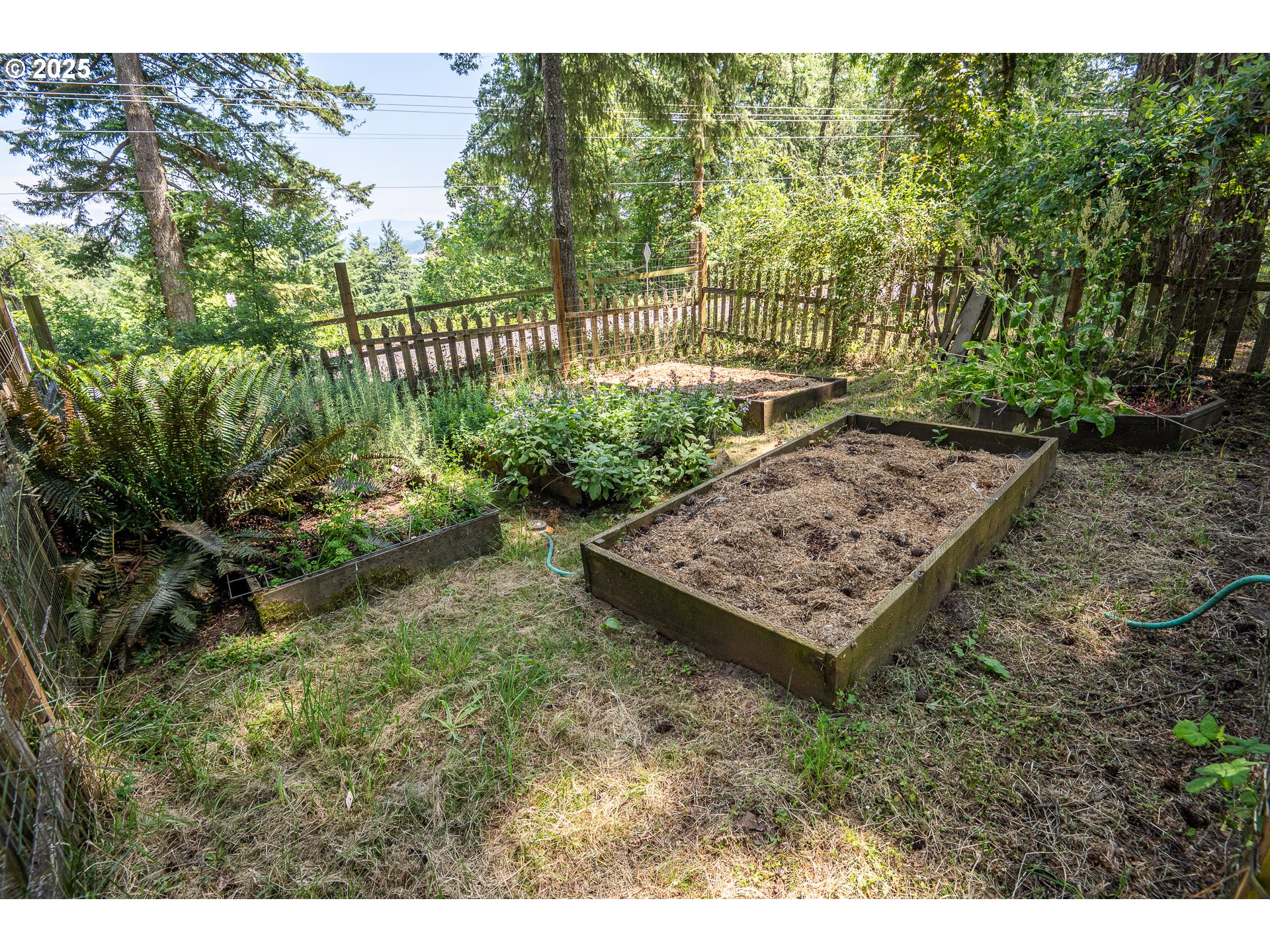 32468 Dillard Road Eugene, OR 97405 - Photo 25 of 28 a view of a garden with an outdoor space