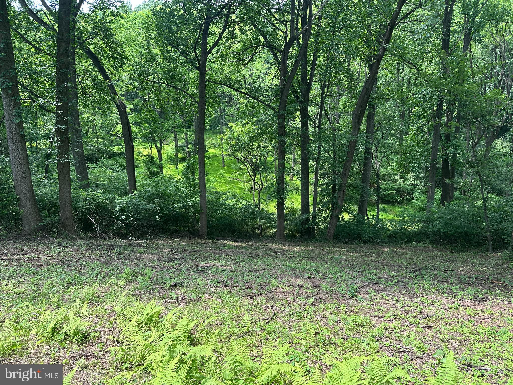 1418 Gallagherville Road Downingtown, PA 19335 - Photo 14 of 21 proposed homesite looking northwest down the hill