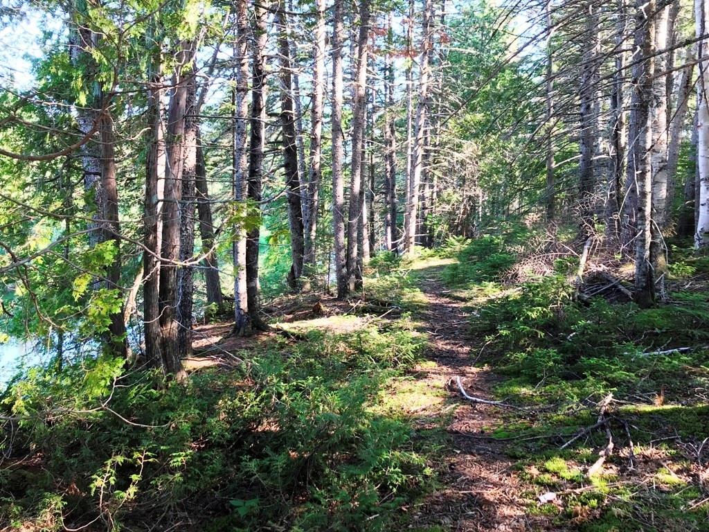 Tbd B&a Railroad North Road North Shirley, ME 04485 - Photo 14 of 22 Photo