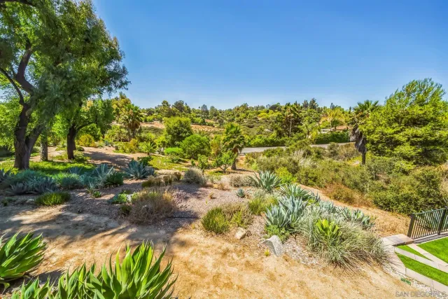 a view of a yard with plants and large trees