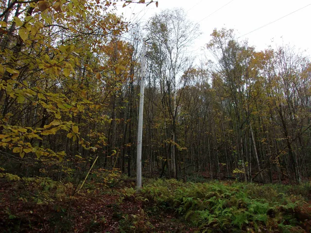 $129,000 | 0 Foliage Lane, Unit 3, Orleans, VT 05860