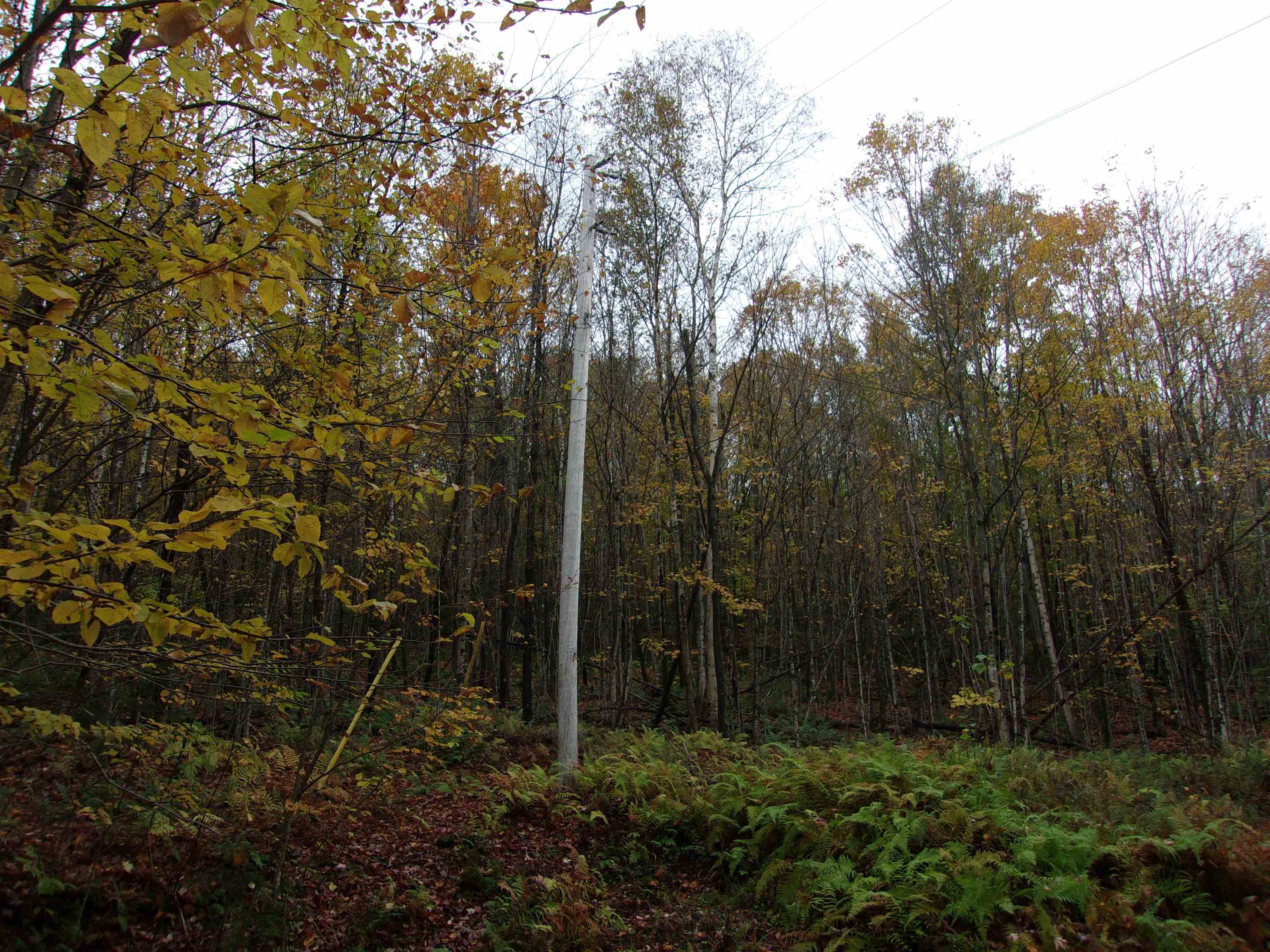 0 Foliage Lane, Unit 3 Orleans, VT 05860 - Photo 1 of 4