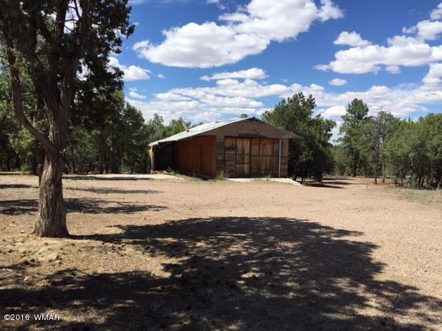 5464 High Moon Road Show Low, AZ 85901 - Photo 25 of 27