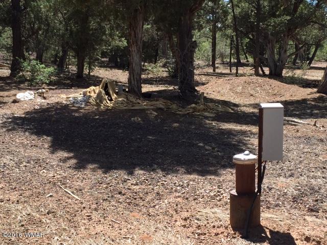 5464 High Moon Road Show Low, AZ 85901 - Photo 27 of 27