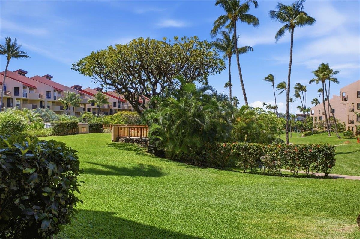 2695 South Kihei Road, Unit 5114 Kihei, HI 96753 - Photo 24 of 47 a view of a garden