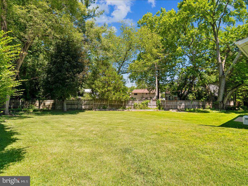 903 Annmore Drive Silver Spring, MD 20902 - Photo 4 of 20 Back yard