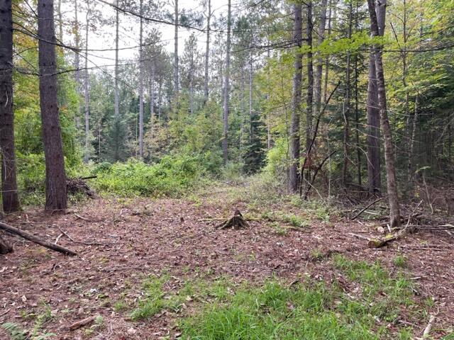 Lot #1 Sturtevant Hill Road Readfield, ME 04355 - Photo 14 of 38 IMG_0612