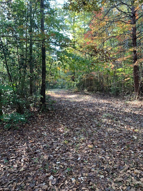 0 Scenic Heights Road West Union, SC 29696 - Photo 6 of 7 Gallery Image 6