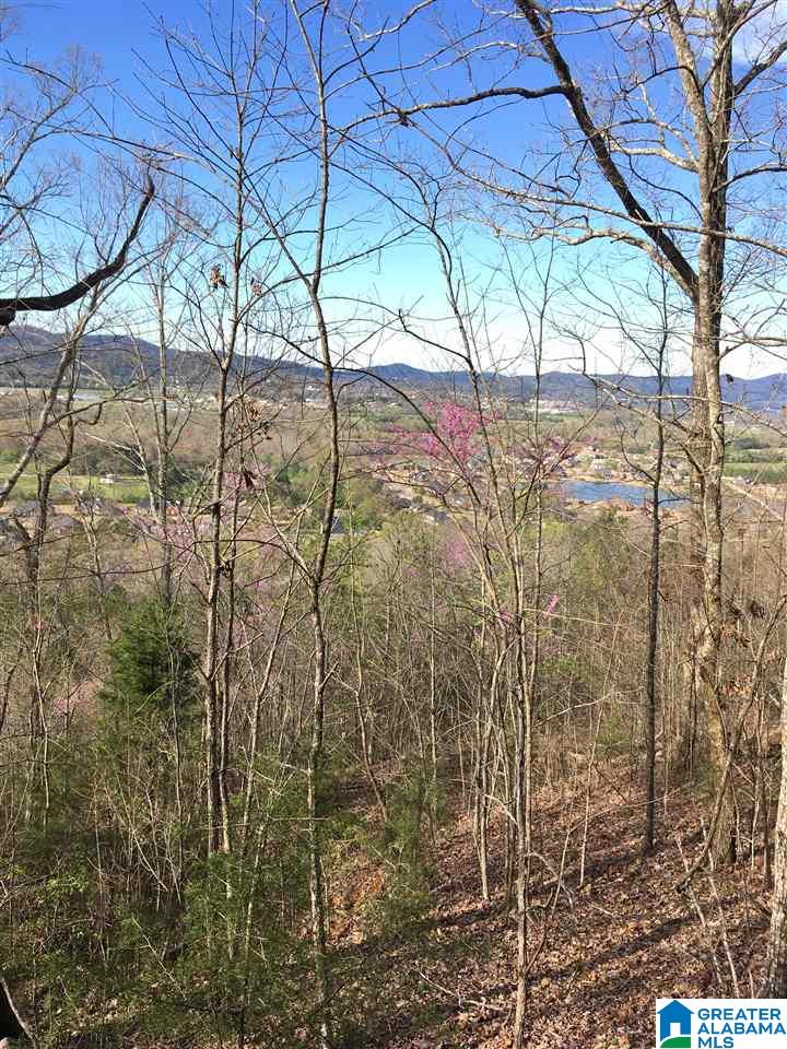 230 County Line Road Oxford, AL 36203 - Photo 2 of 50