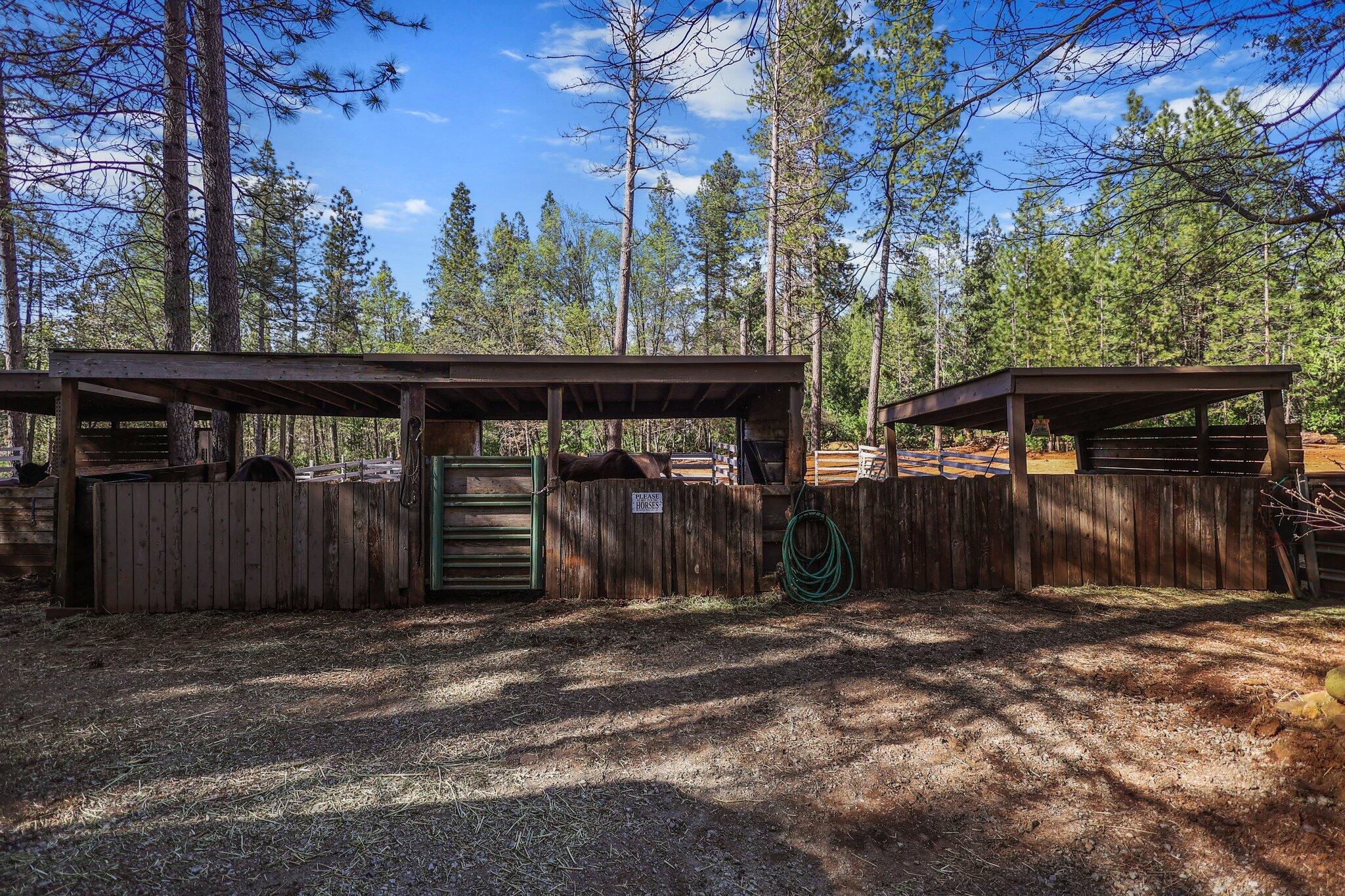 30726 Shingletown Ridge Road Shingletown, CA 96088 - Photo 77 of 84 100-web-or-mls-8Q0A2473
