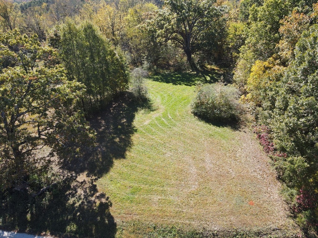 Parcel D South Farmington Road Skipwith, VA 23968 - Photo 2 of 3 Gallery Image 2