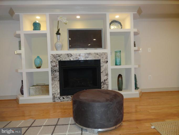 2448 Ontario Road Northwest, Unit 1 Washington, DC 20009 - Photo 10 of 10 Fireplace