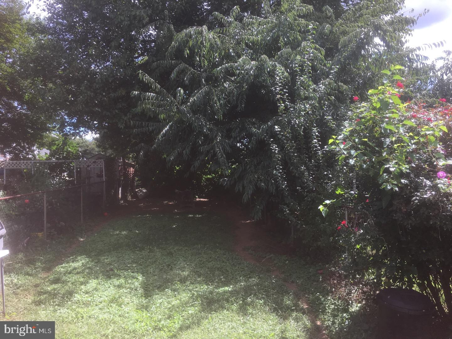 4163 Farmdale Road Philadelphia, PA 19154 - Photo 22 of 24 Back Yard