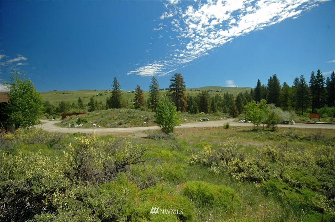 42 North Landing Road Winthrop, WA 98862 - Photo 1 of 25 Gallery Image 1